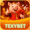 Logo da TEXYBET